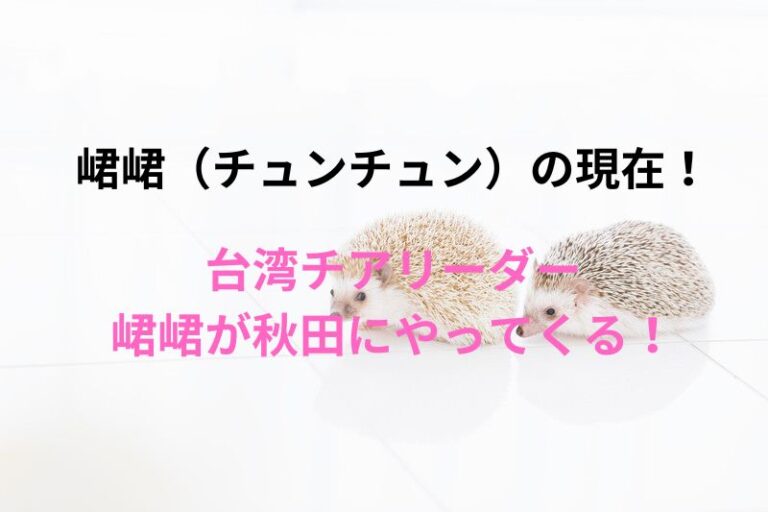 チュンチュンの現在！台湾チアリーダーが秋田にやってくる！