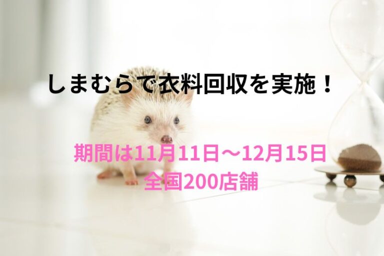 しまむら衣料回収2024！11月11日～12月15日全国200店舗で実施