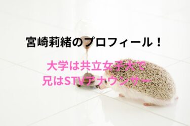 宮崎莉緒のプロフィール！大学は共立女子大で兄はアナウンサー