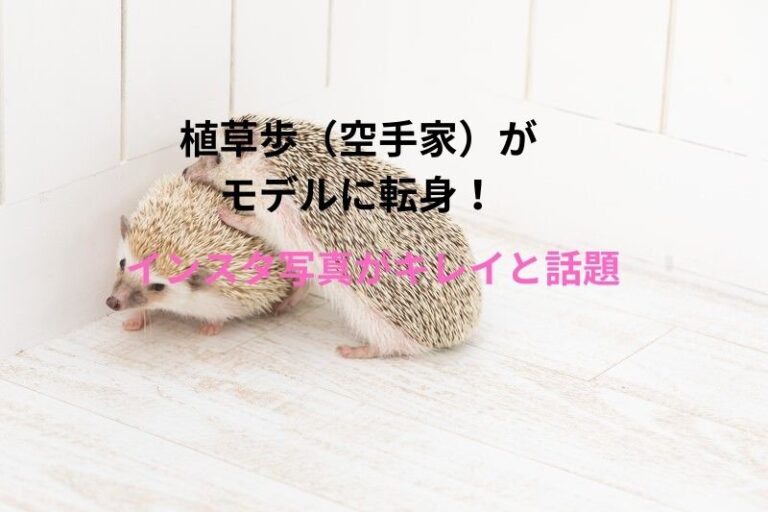 植草歩（空手家）がモデルに転身！インスタ写真がキレイと話題