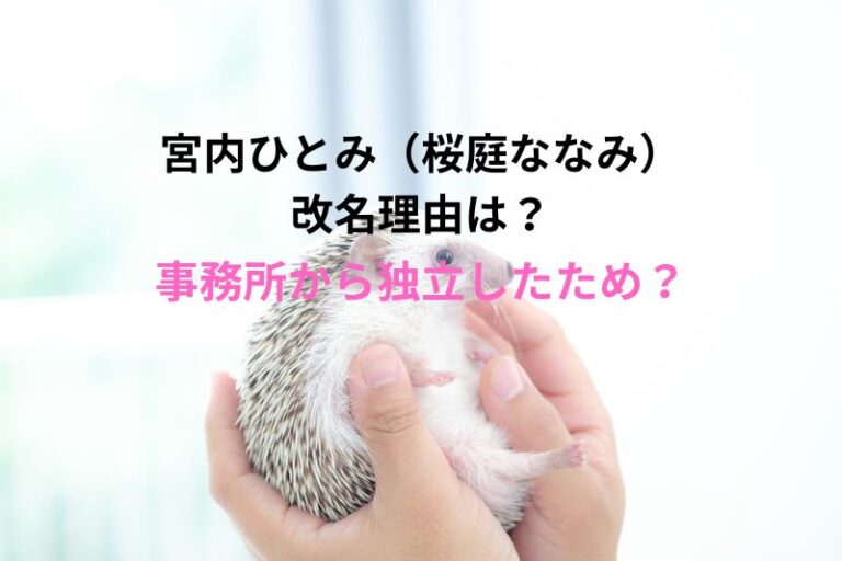 宮内ひとみ（桜庭ななみ）の改名理由は？事務所から独立したため？