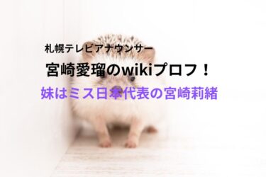 宮崎愛瑠のwikiプロフ！妹はミス・ユニバース日本代表の宮崎莉緒